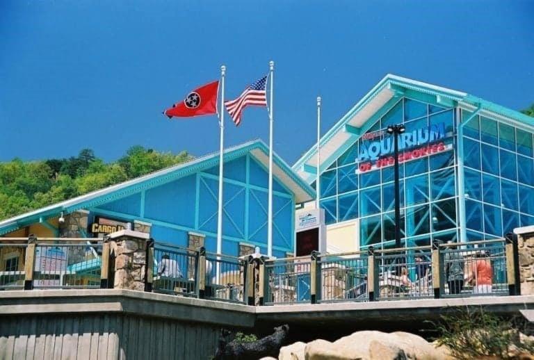 Wild Turkey "The Perfect Getaway" Villa Pigeon Forge Bagian luar foto