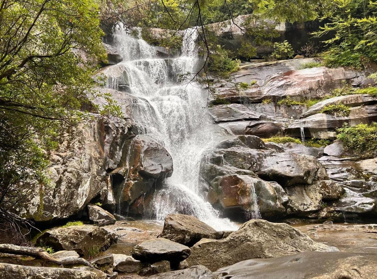 Wild Turkey "The Perfect Getaway" Villa Pigeon Forge Bagian luar foto